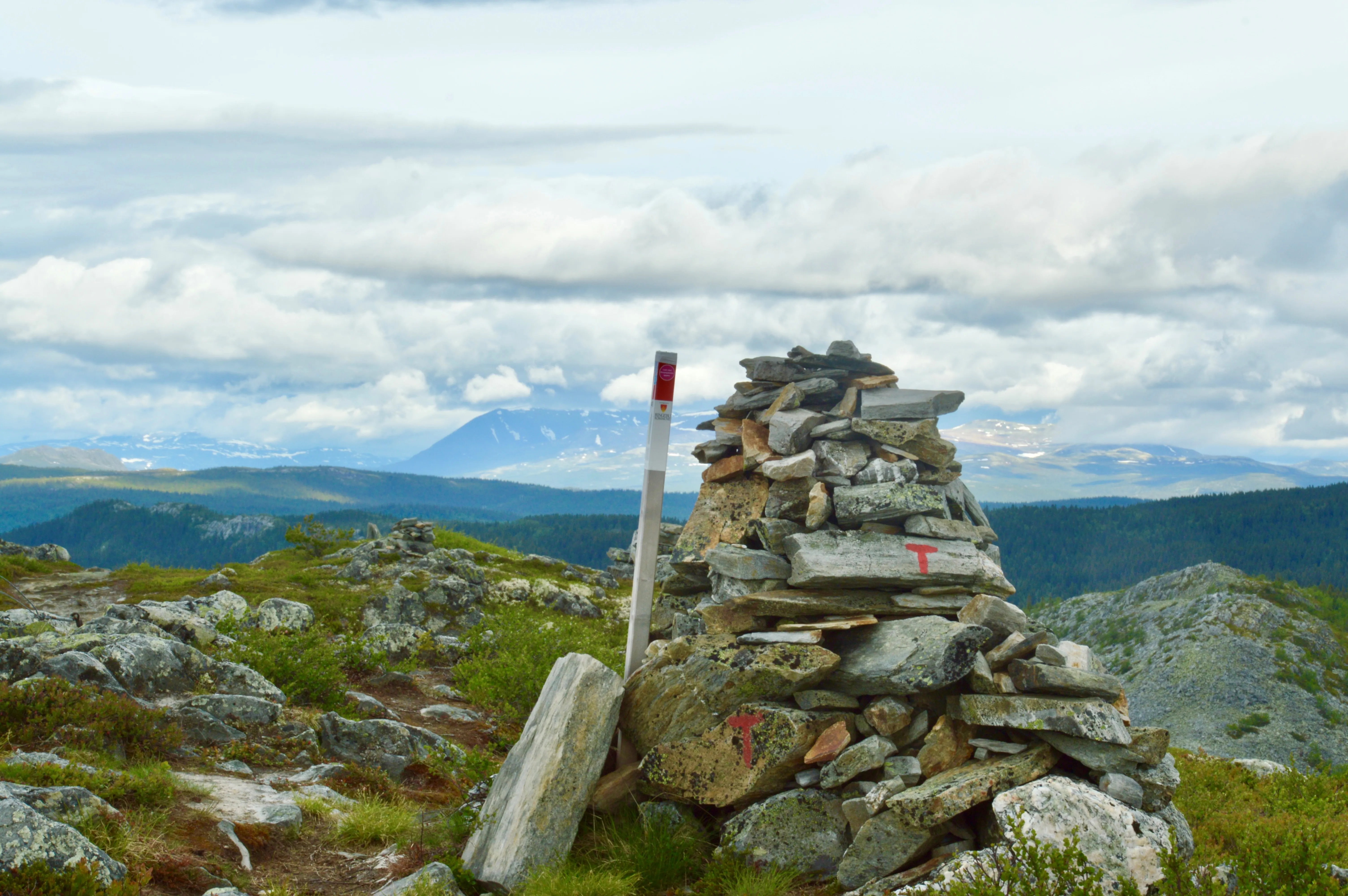 Stolpejakt Kvitfjell sommer