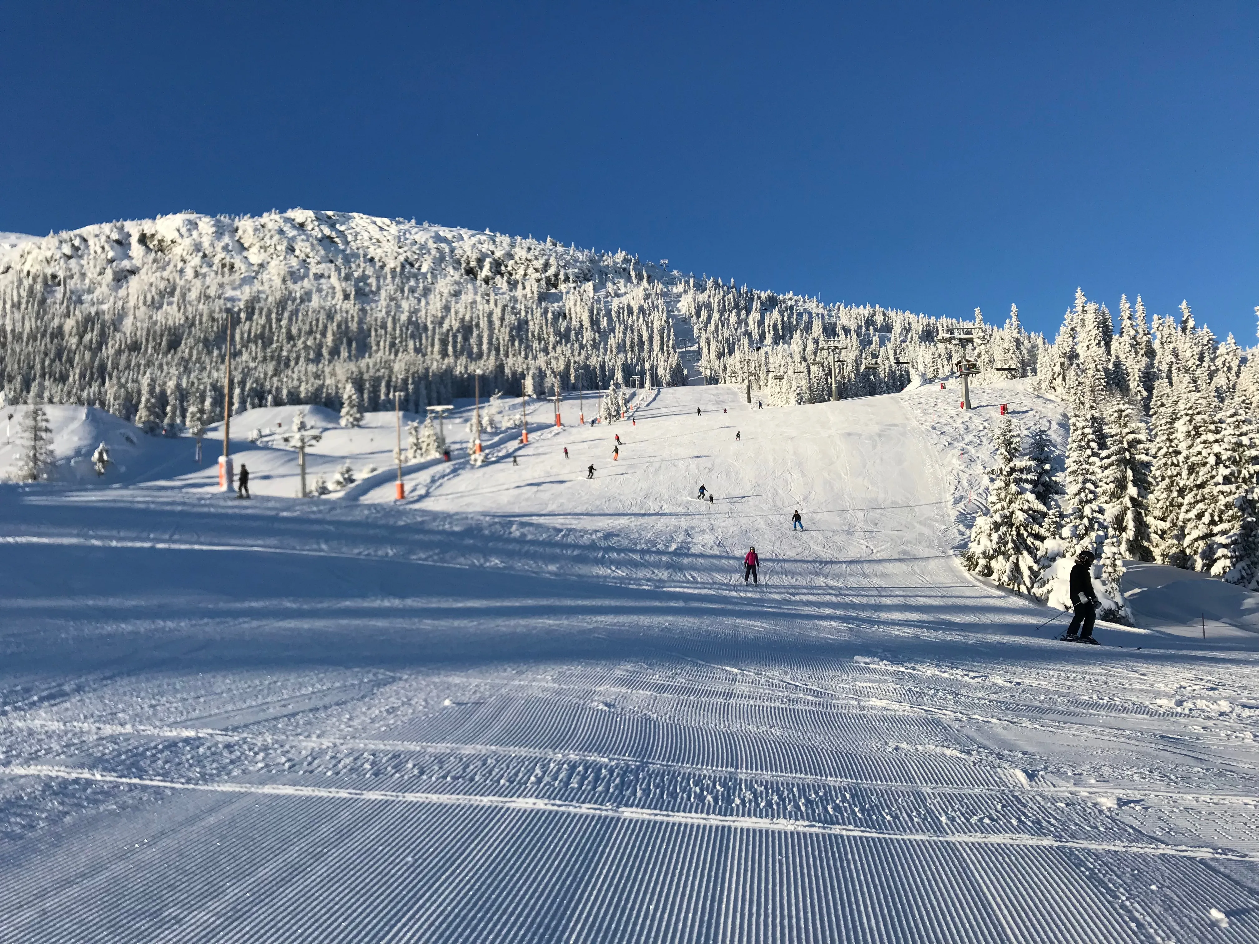 skikjøring i Kvitfjell