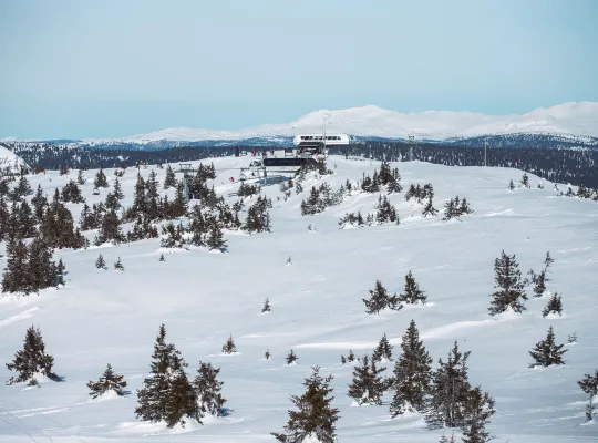 Kvitfjell